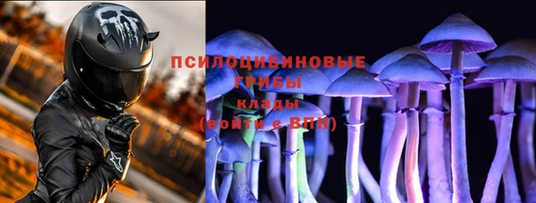 стафф Горно-Алтайск
