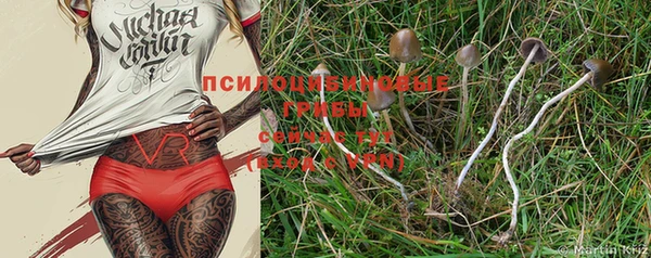 MDMA Premium VHQ Гусиноозёрск