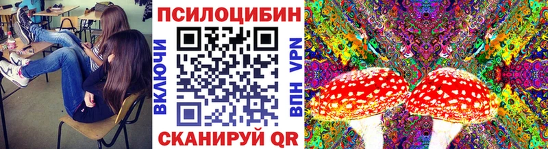 Псилоцибиновые грибы мицелий  blacksprut как войти  даркнет как зайти  Обнинск 